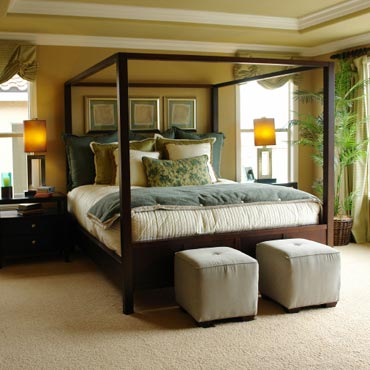 STAINMASTER® Carpet | Sarasota, FL